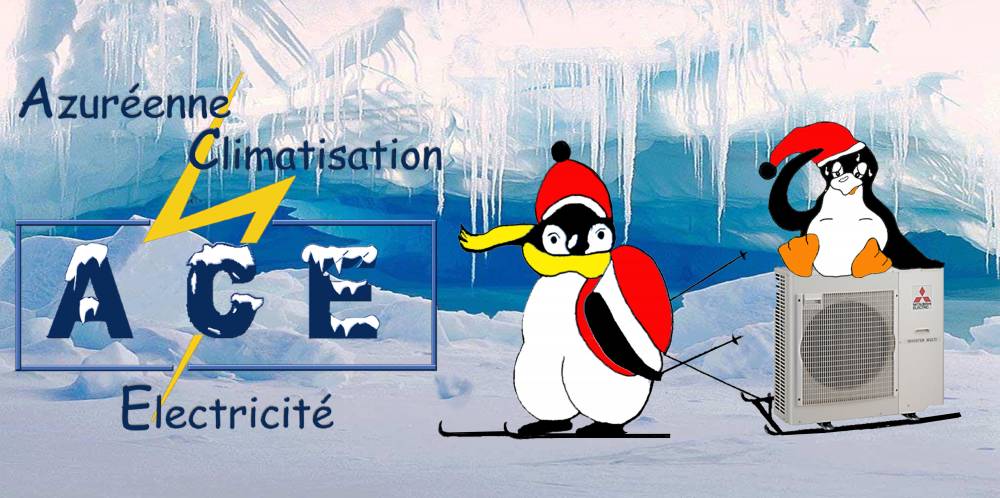 Fond d'écran ACE pingoin.jpg Fond d'écran ACE pingoin.jpg